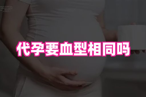 武汉助孕网 3