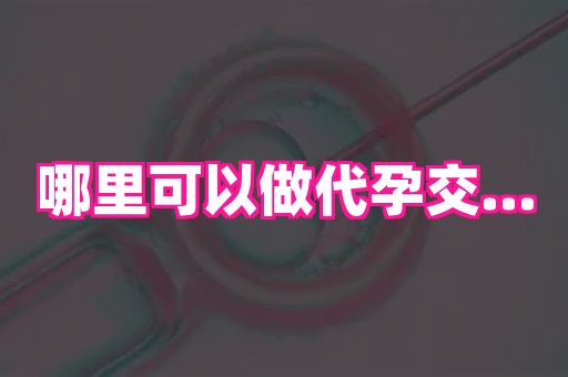 武汉助孕网 4